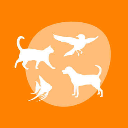 uebersicht bubblenavibanner